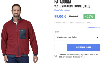 Patagonia Veste Microdini par eva personal shopper