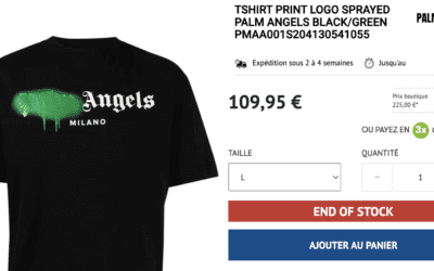 Palm Angels T-Shirt print logo sprayed par eva personal shopper